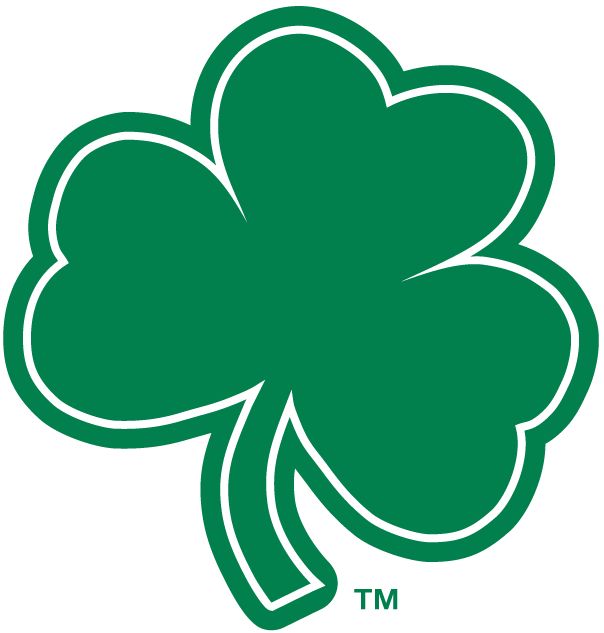 Notre Dame Fighting Irish 1994-Pres Alternate Logo v7 diy fabric transfer